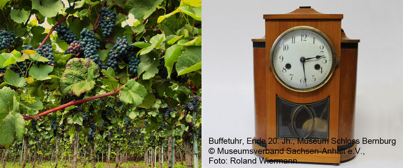 DAs Bild zeigt Weinreben und eine Uhr